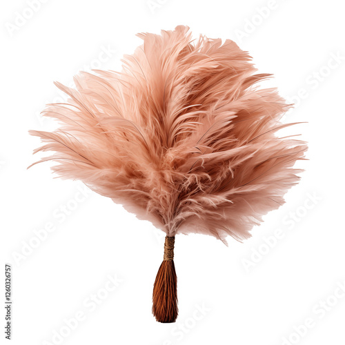 feather duster