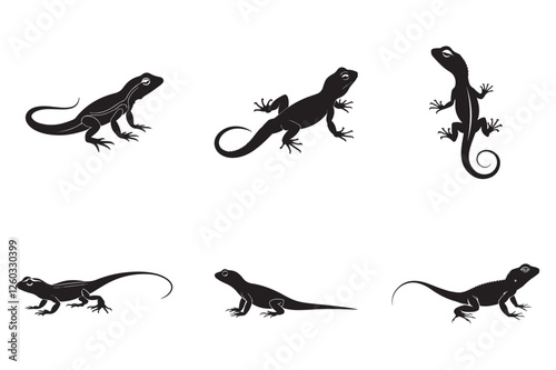 The Largest Lizard Species in the World