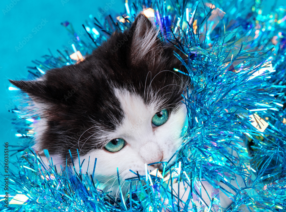 Funny little kitten wrapped in glitter Christmas garland on a blue background. Christmas concept