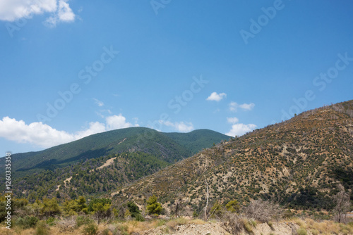June 2024, mountainous scenery in North Evia with many burnt trees, three years after the disastrous wildfire of August 2021 