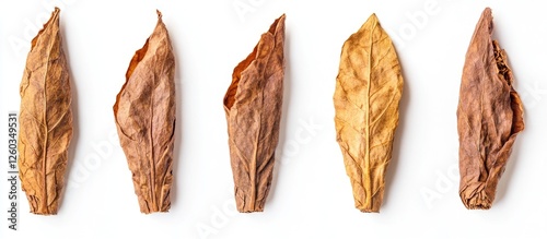 Six dried tobacco cigarillos arranged on a white background showcasing texture and color in high resolution close-up detail.