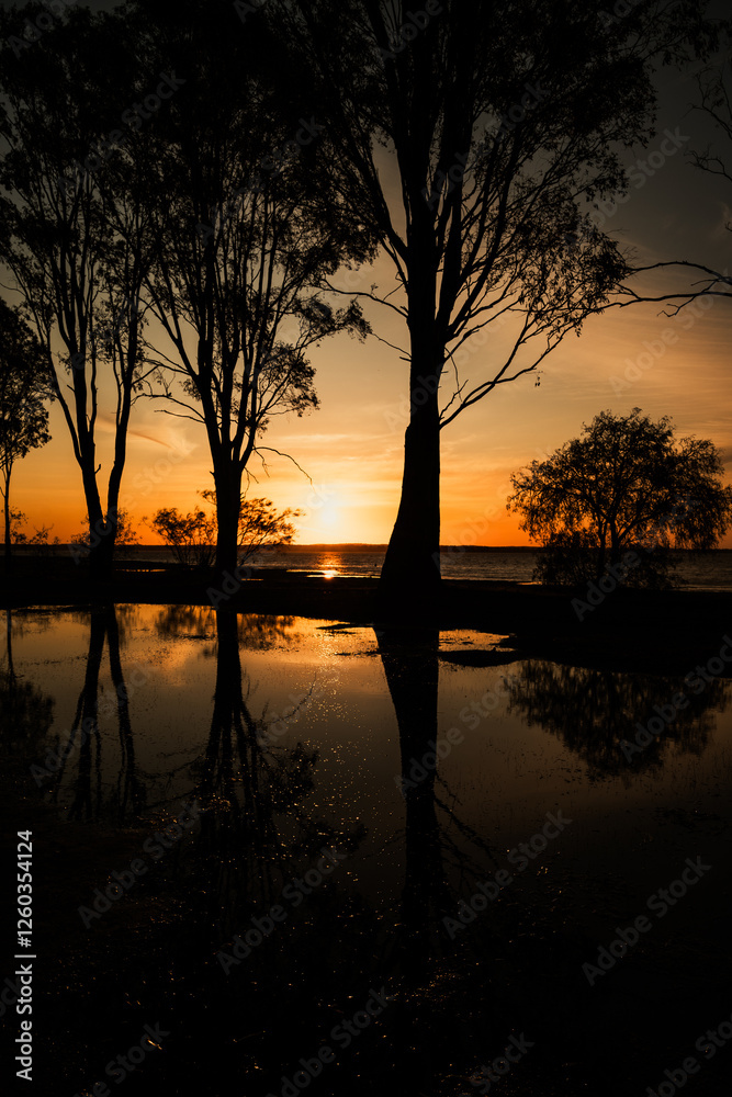 Obraz premium Sunset over a lake, Waranga Basin, Waranga Shores, Victoria, Australia; trees and their reflections in the water puddles at foreground.