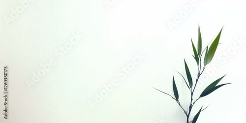 Wallpaper Mural bamboo flower in front of white background  Torontodigital.ca