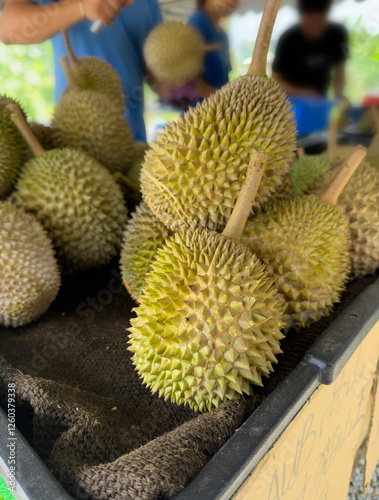 Many Durian at the market place