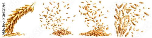 Golden Wheat Grain Falling and Isolated on White Background, Stitched Together for a Unique Stock Photo Composition