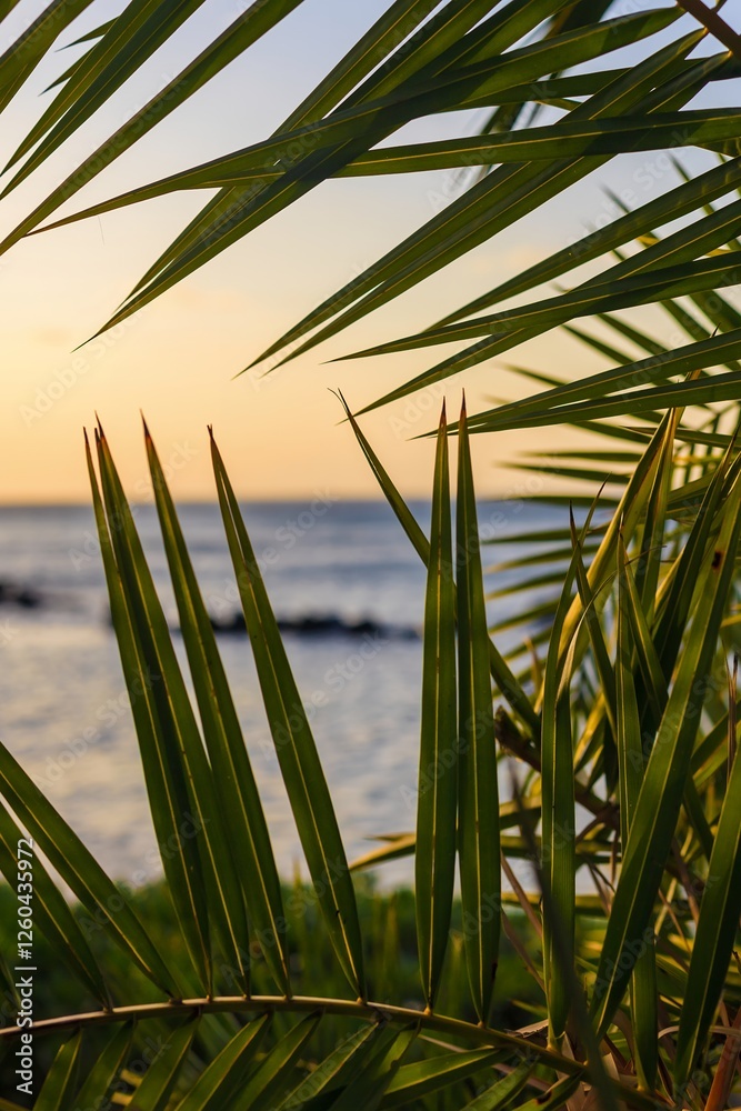 Palm leaves frame a golden sunset over the ocean. The warm sky and silhouetted fronds create a peaceful tropical ambiance, perfect for travel, nature, and relaxation themes. Palm leaves frame a golden sunset over the ocean. The warm sky and silhouetted fronds create a peaceful tropical ambiance, perfect for travel, nature, and relaxation themes.