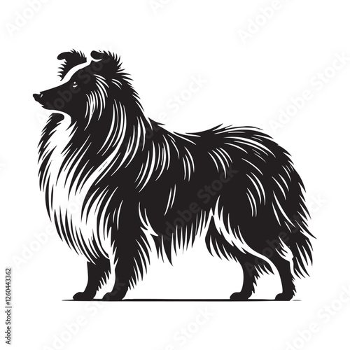 Shetland Sheepdog silhouette with refined and expressive contours - Shetland Sheepdog illustration - minimal Shetland Sheepdog vector - dog silhouette
