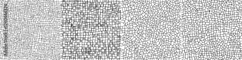 Intricate patterns of cracked surfaces in black and white showcasing texture and detail