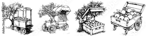 Illustrations of vintage fruit carts showcasing citrus harvest in a rustic market setting