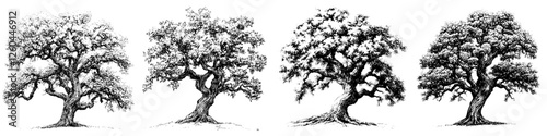 Various depictions of oak trees showcasing different styles and characteristics in a monochromatic illustration