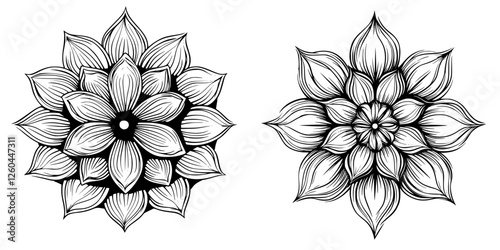 Decorative floral designs featuring intricate line art in a symmetrical pattern for artistic inspiration and nature lovers
