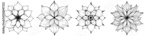 Four detailed illustrations of flowers showcasing intricate line work and unique designs in black and white