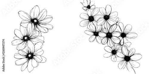 Floral sketches featuring daisies in a simple, elegant design for artistic inspiration and decoration