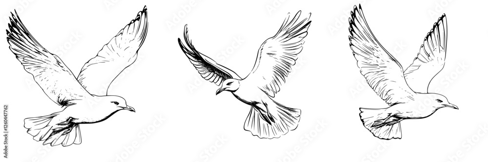 Fototapeta premium Detailed sketches of flying birds showcasing different wing positions and styles in a natural setting