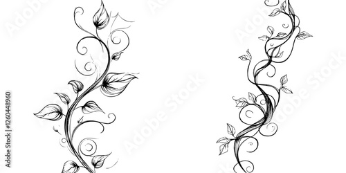 Intricate black and white vine illustrations with swirling details displayed on a clean background