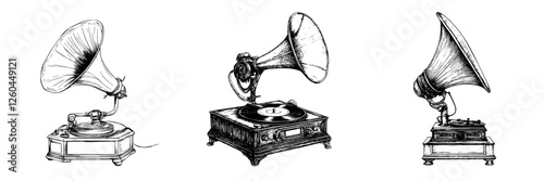 Vintage gramophones showcase various designs from different eras in an artistic display