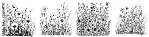 Black and white illustration of diverse wildflowers in a natural setting showcasing various species and textures