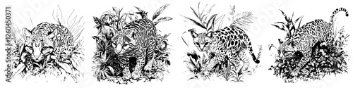 Four detailed illustrations of wild cats in lush tropical settings showcasing their natural habitats