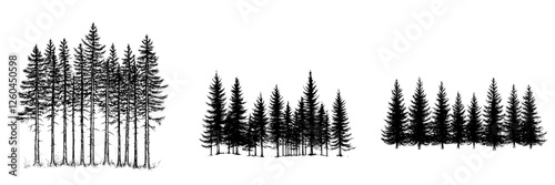 Vector illustration of hand-drawn trees in various arrangements set against a plain background