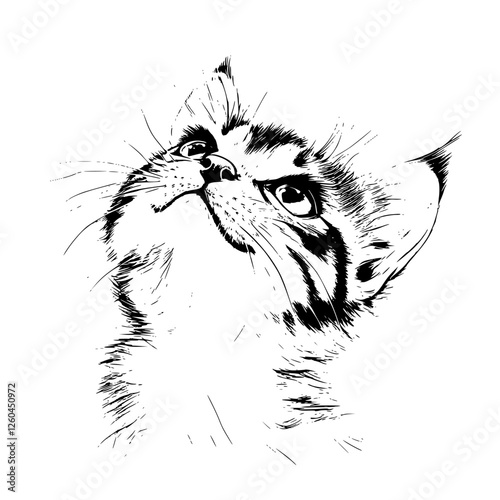 Vector illustration of a curious cat looking up in a hand-drawn style