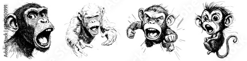 Expressive monkey faces illustrated in hand-drawn vector style, capturing various emotions and actions