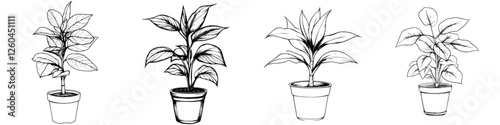 Hand-drawn vector illustration of various indoor plants in pots showcasing green foliage