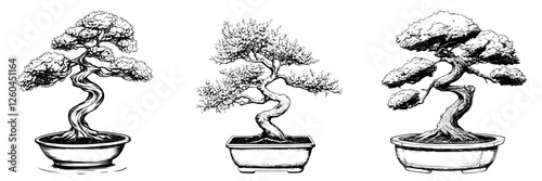 Skillfully crafted vector illustration of three distinct bonsai trees with hand-drawn style in minimalistic design