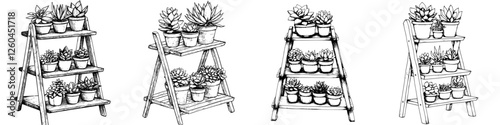 Stylish hand-drawn vector illustration of decorative plant shelves with succulents arranged in pots
