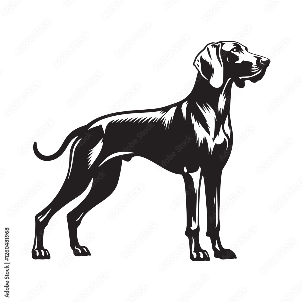 Sleek Weimaraner silhouette highlighting grace and agility - Weimaraner illustration - minimal Weimaraner vector - dog silhouette
Sleek Weimaraner silhouette highlighting grace and agility - Weimaraner illustration - minimal Weimaraner vector - dog silhouette