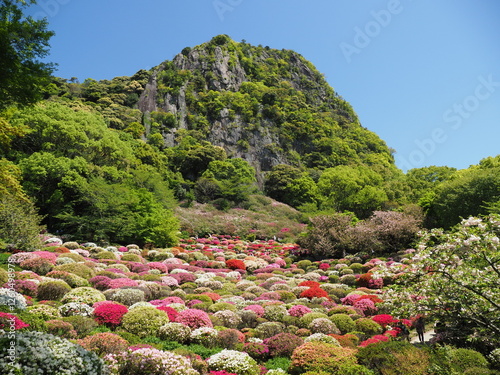 Photos 御船山楽園のつつじ