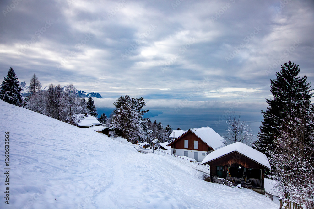 Snowy landscapes in Caux, above Montreux
