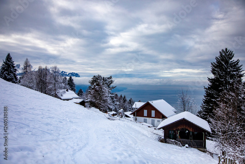 Snowy landscapes in Caux, above Montreux photo