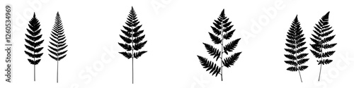 A hand drawn black and white graphical representation of fern leaves and a twig, in modern format