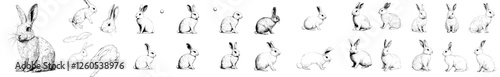 A hand-drawn sketch of a wild bunny, depicted in a retro etching style reminiscent of antique engravings, featuring cute Easter rabbits and hares in a vintage pencil drawing of sitting bunnies