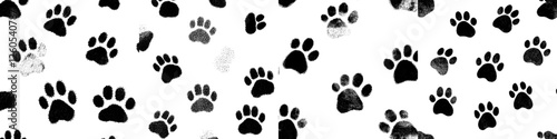Photography A seamless pattern of paws prints is presented as a modern background featuring