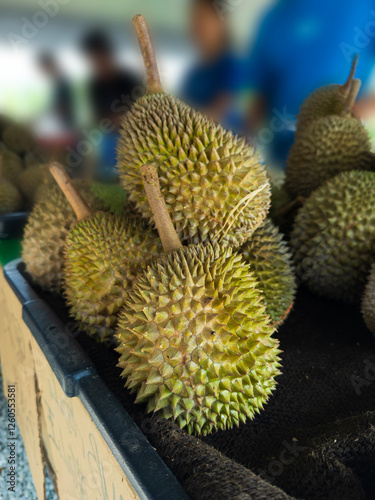 Fresh tropical Durian fruits at the market