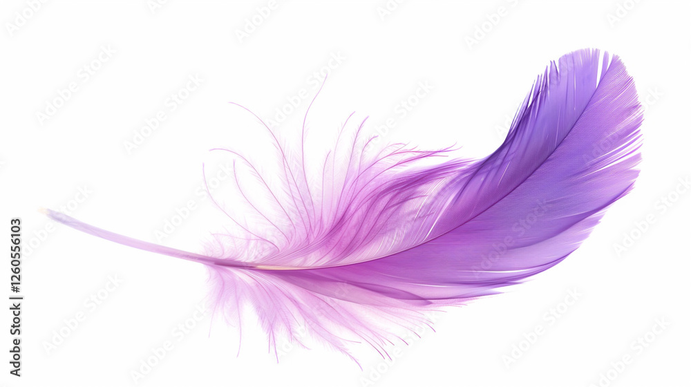 Obraz premium pink feather isolated on white