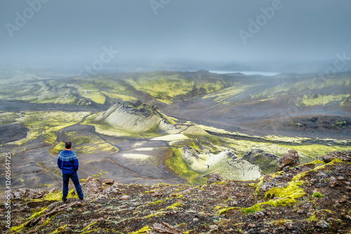Lakigigar or Laki Craters, a 25 km long row of craters in the south of Iceland. photo
