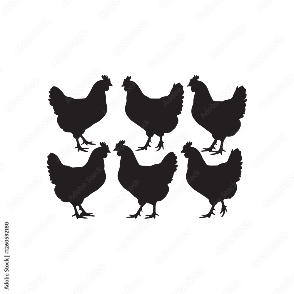 Fototapeta premium set of chicken