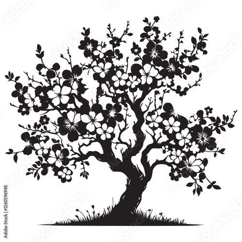 Blossoming cherry tree Silhouette Vector Illustration, Solid White Background.