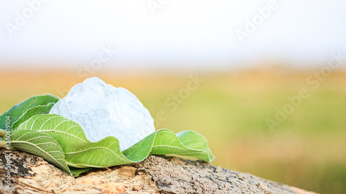 Pieces of alum stone on green leaf against blurred background. The connection between natural minerals and plant based ingredients in traditional practices and holistic wellness. photo