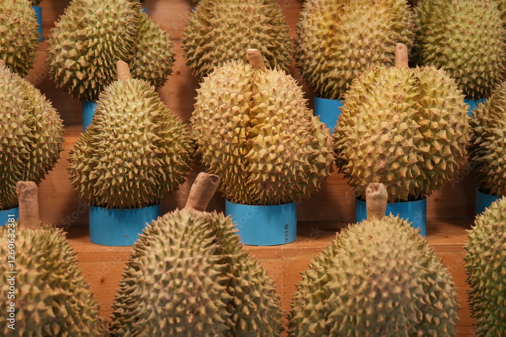 There are many kinds of fruit in Thailand. The one that Thai people like to eat is called durian. There are many kinds of fruit in Thailand. The one that Thai people like to eat is called durian.