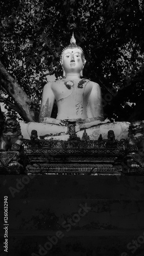 Photography buddha statue at night
