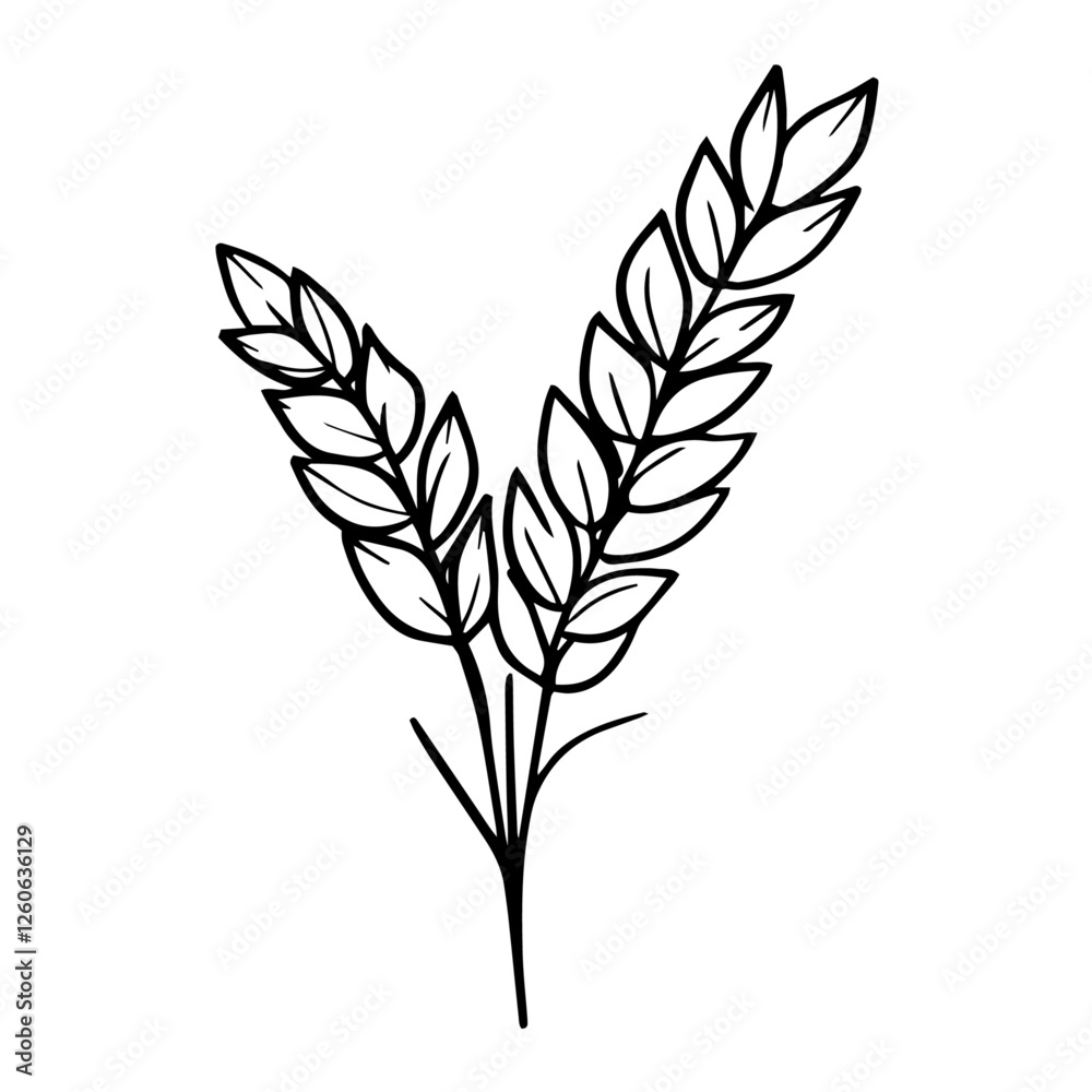 Fototapeta premium Simple line art of wheat, traditional and religious symbol