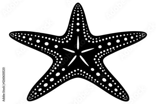 sea star  silhouette vector illustration