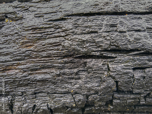Close up texture of burnt and wet wood