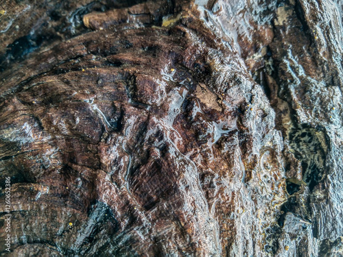 Close up of uneven wood surface texture