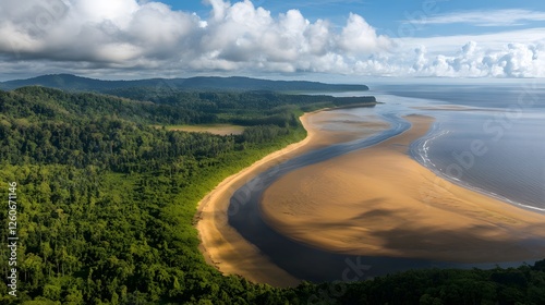 Aerial View Lush Rainforest Coastline Sandy Beach Ocean