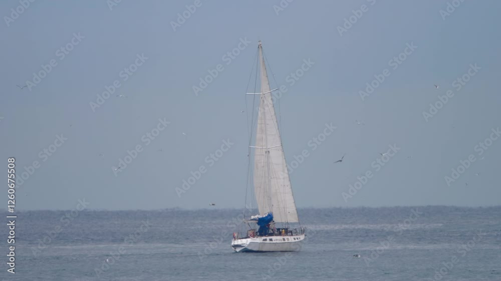 Clear blue sea meeting the endless sky with a lone sailboat on the horizon, ocean, water, sky, horizon, sailboat, serene, tranquil Clear blue sea meeting the endless sky with a lone sailboat on the horizon, ocean, water, sky, horizon, sailboat, serene, tranquil