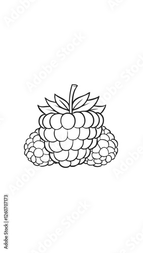 Raspberry Fruit Food Meal Healthy Coloring Kid Book Page in Black and White. Monochrome and Colored Samples
